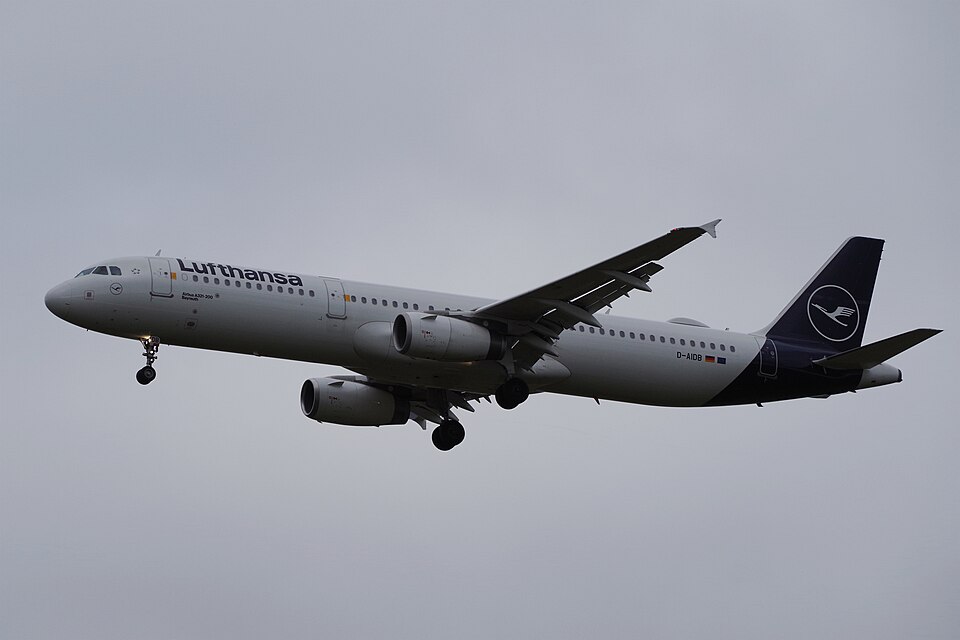 D-AIDB – registrierungsgenaues Aircraft-Foto