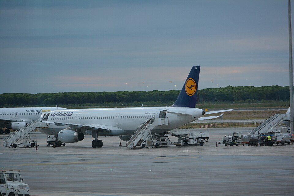 D-AIDN – registrierungsgenaues Aircraft-Foto