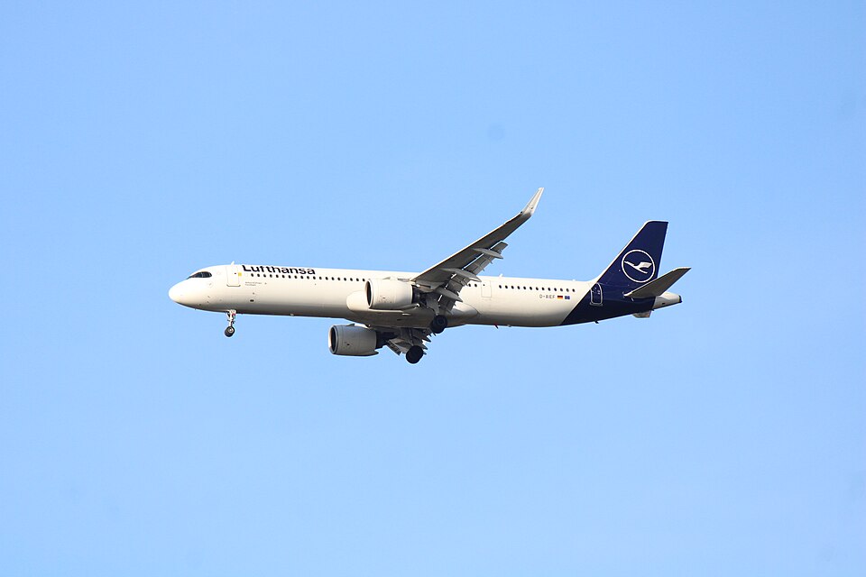 D-AIEF – registrierungsgenaues Aircraft-Foto