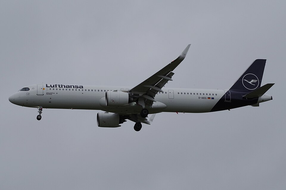 D-AIEG – registrierungsgenaues Aircraft-Foto
