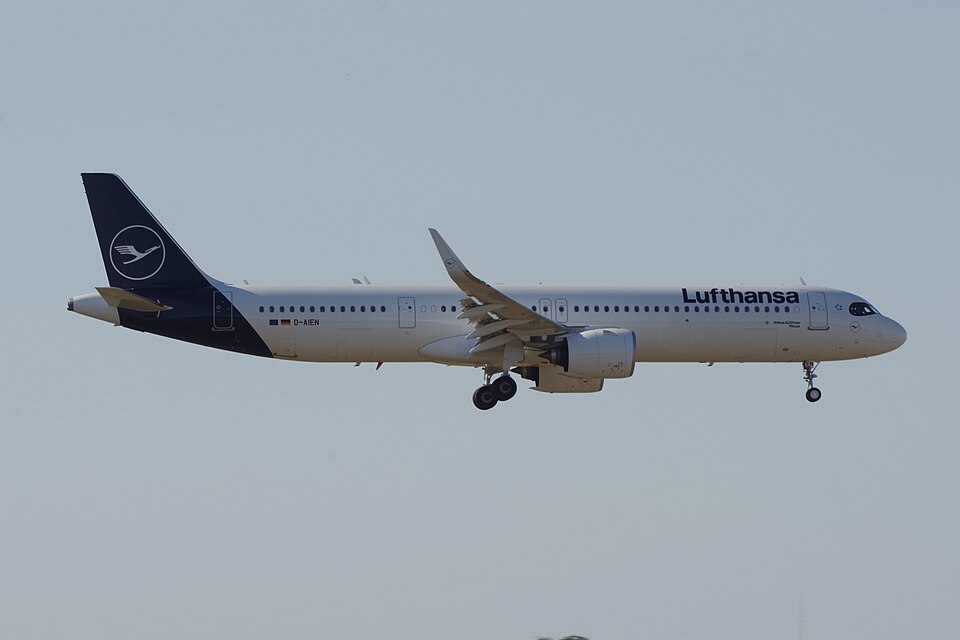 D-AIEN – registrierungsgenaues Aircraft-Foto