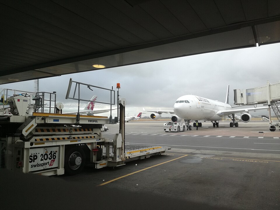 D-AIGZ – registrierungsgenaues Aircraft-Foto