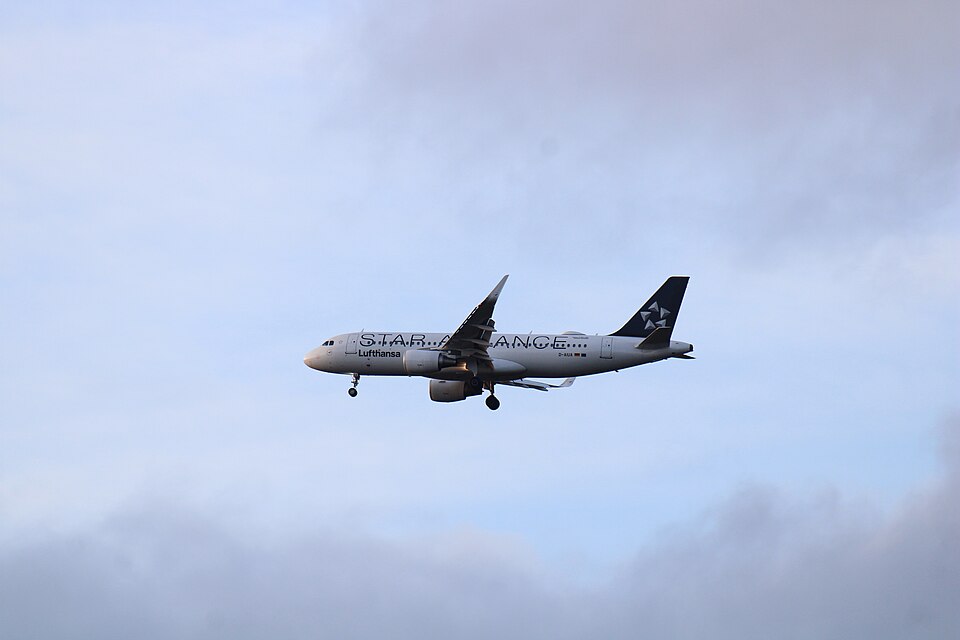 D-AIUA – registrierungsgenaues Aircraft-Foto