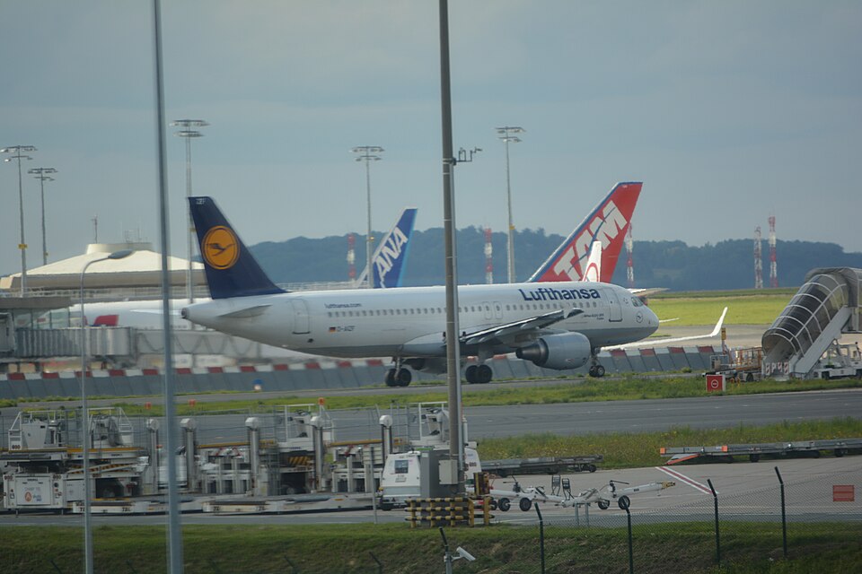 D-AIZF – registrierungsgenaues Aircraft-Foto
