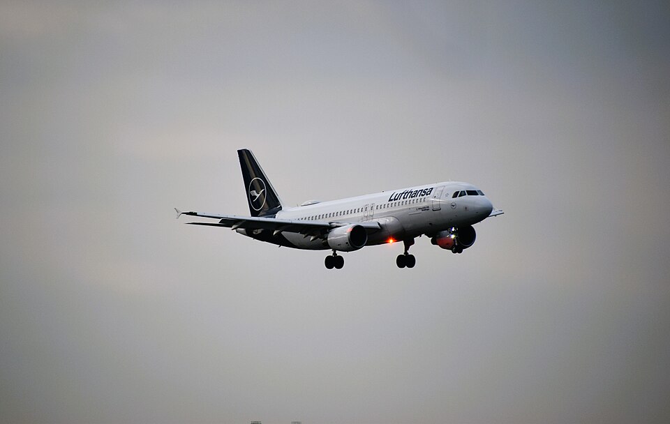 D-AIZG – registrierungsgenaues Aircraft-Foto