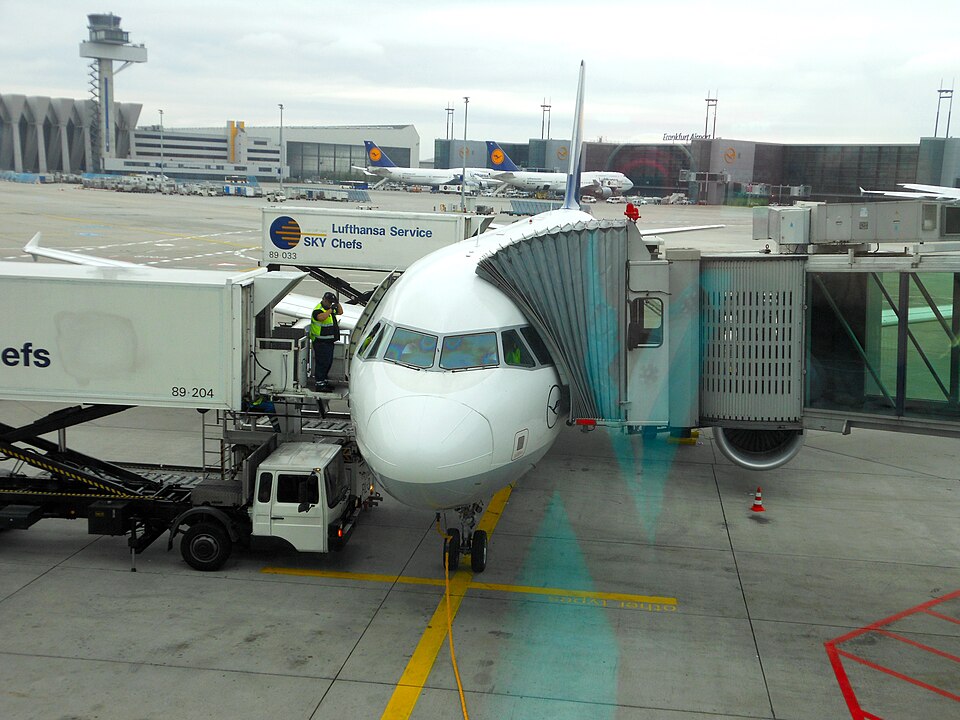 D-AIZJ – registrierungsgenaues Aircraft-Foto