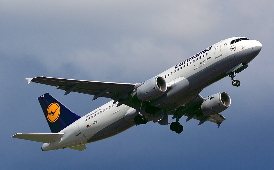 D-AIZN – registrierungsgenaues Aircraft-Foto