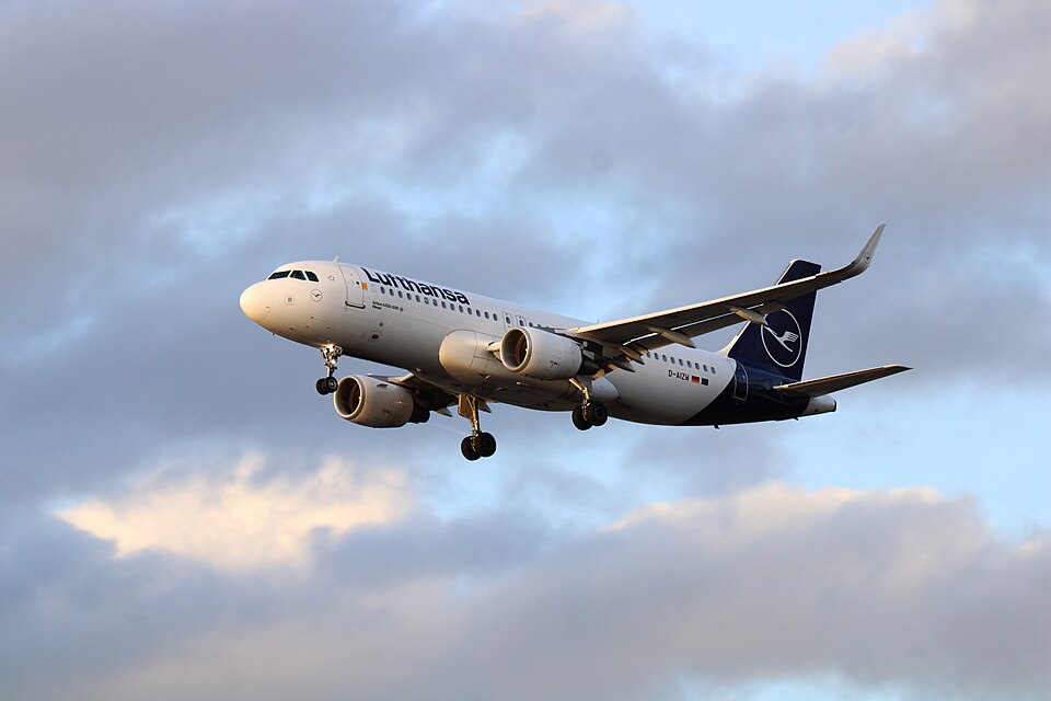 D-AIZW – registrierungsgenaues Aircraft-Foto